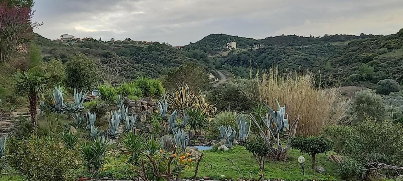חניוטי Seaside View Villa מראה חיצוני תמונה