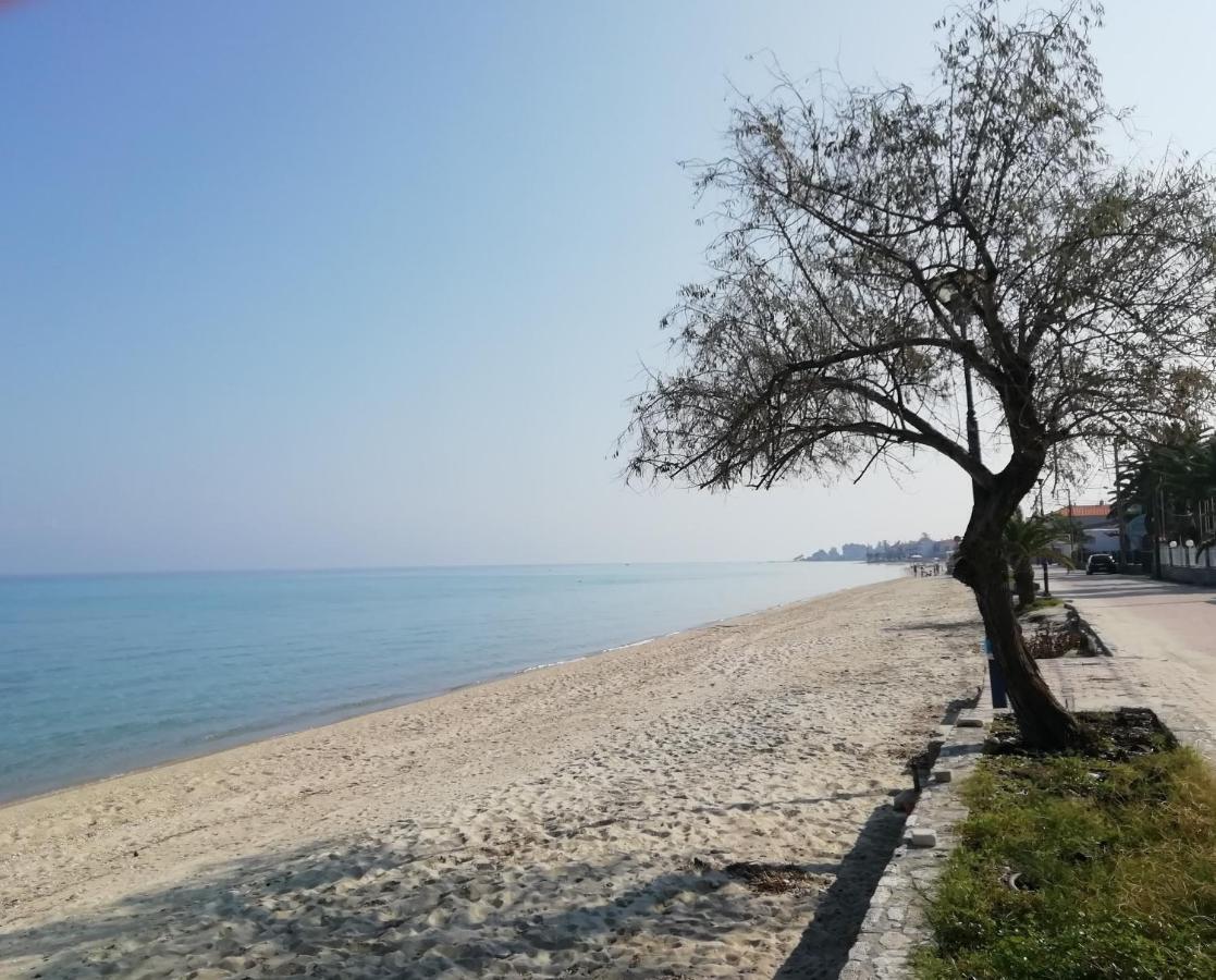 חניוטי Seaside View Villa מראה חיצוני תמונה